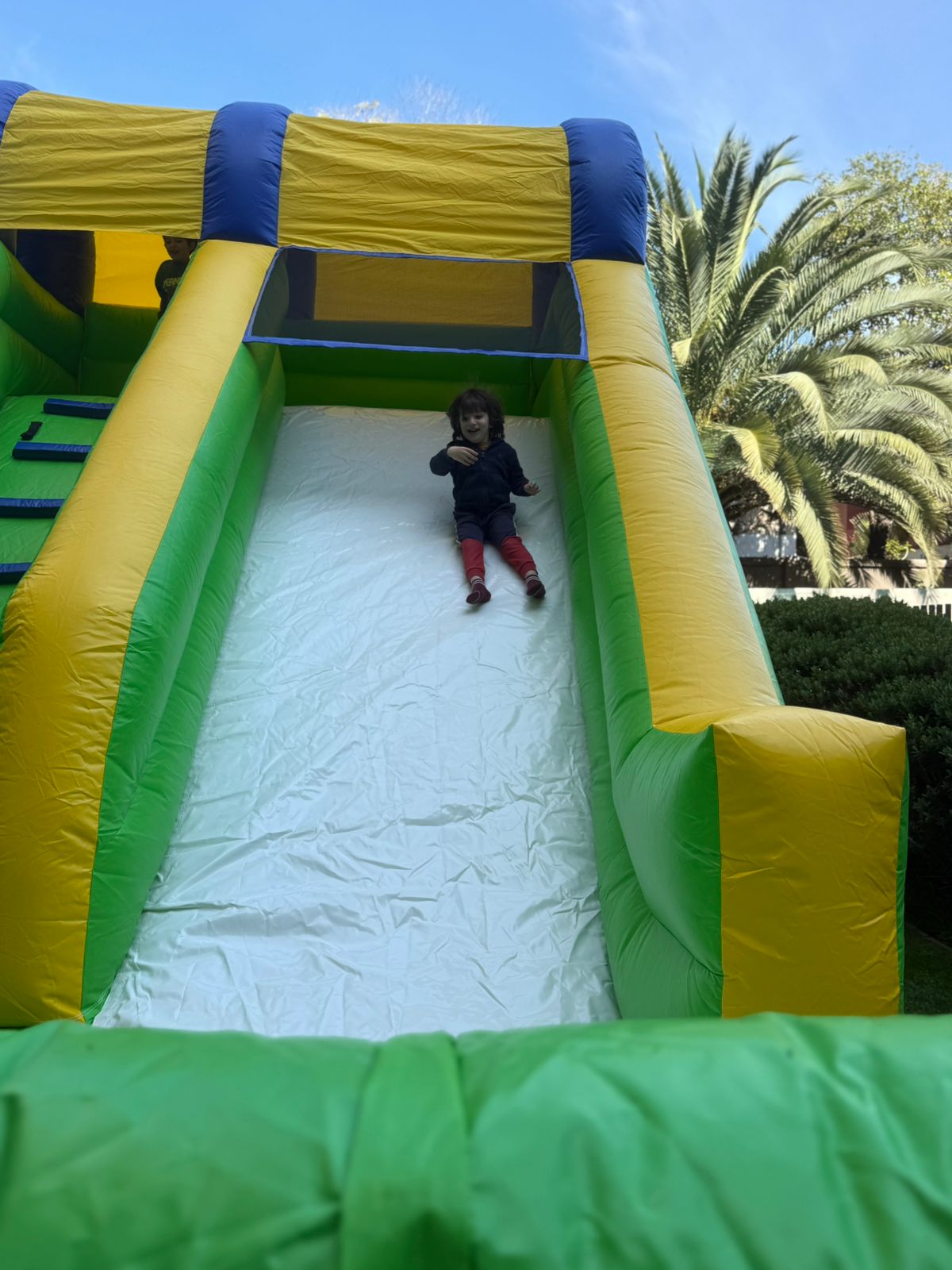 Arriendo Tobogán Avispón . Largo 6m x Ancho 3.50m x Alto 5m