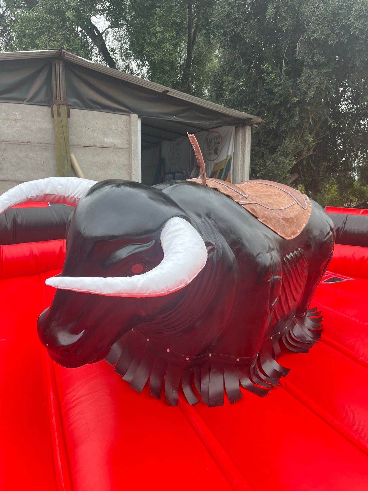 Arriendo Toro Mecánico 5mx5m