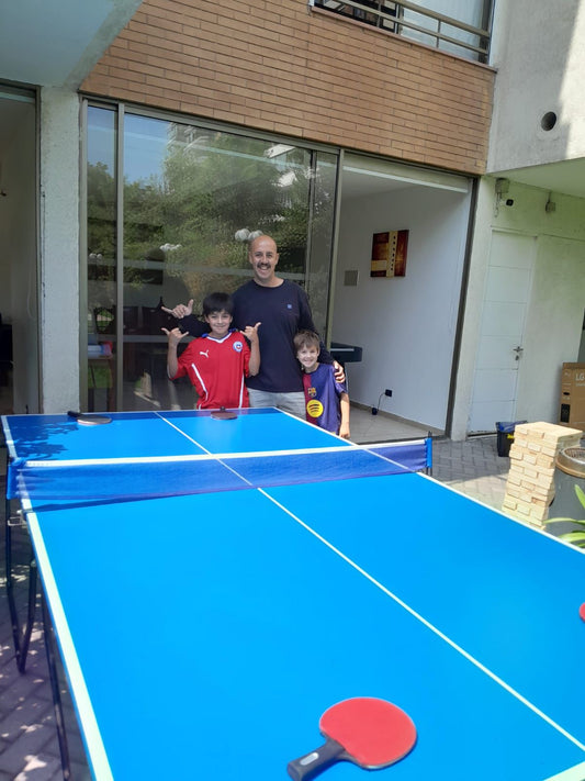 Arriendo Mesa Ping Ping