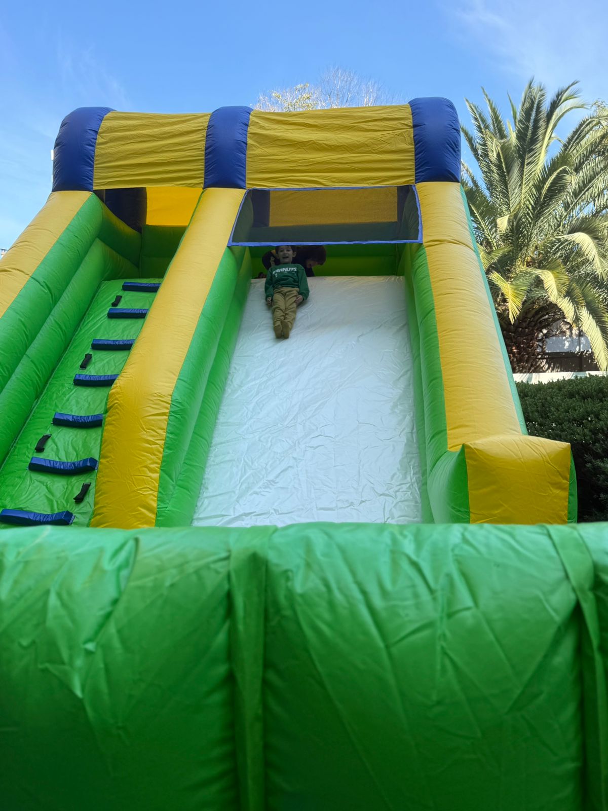 Arriendo Tobogán Avispón . Largo 6m x Ancho 3.50m x Alto 5m