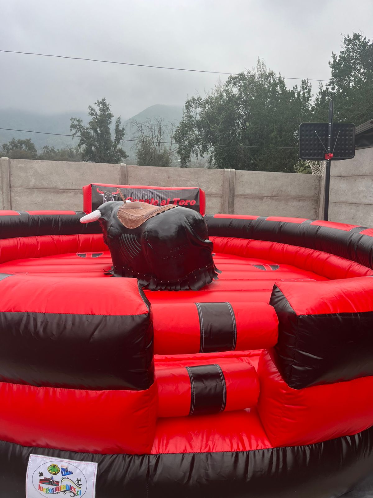 Arriendo Toro Mecánico 5mx5m